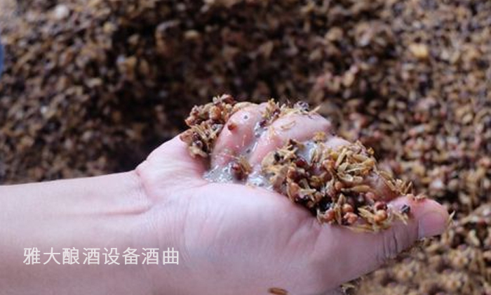 10.7高粱釀酒技術—檢測發(fā)酵是否完成