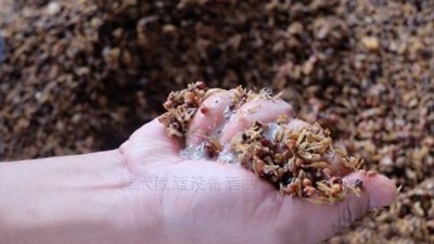 用小型燒酒設(shè)備蒸酒時(shí)，酒醅含水量也會(huì)影響白酒口感和出酒率？