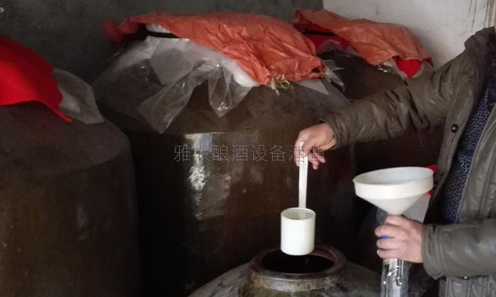 31-20年老師傅用雅大小型酒廠釀酒設備、地缸釀出“最干凈的酒”地缸0