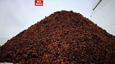 用做酒設(shè)備釀純糧酒的人說做真酒就是在行善，你認(rèn)同嗎？