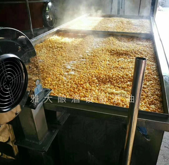 3.31用攤晾蒸煮釀酒設(shè)備蒸玉米，熟得又快又均勻