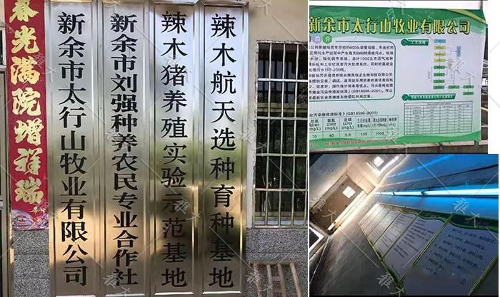 914釀酒+養(yǎng)殖相結合