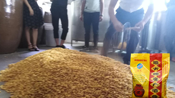 40年老師傅用糧食釀酒設(shè)備做酒有訣竅，蒸餾蒸糧一步到位！