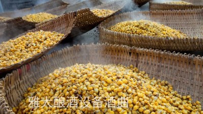 看過來，用玉米釀酒設(shè)備制作整料玉米酒的標(biāo)準(zhǔn)教程在這里！