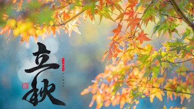 立秋 | 盛夏暑氣遠，酒中秋色濃