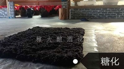簡單10步教您用白酒生產(chǎn)設(shè)備釀出美味黑糯米酒，趕緊來看看！