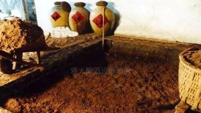 用高粱釀酒設(shè)備做濃香型白酒，酒好全憑窖池老！