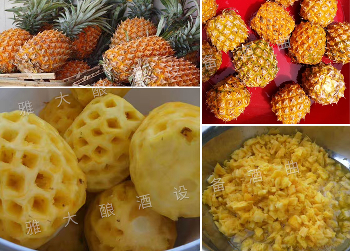 菠蘿釀酒技術