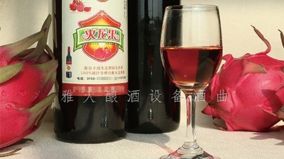 雅大釀酒設(shè)備廠家，果酒研發(fā)一年四季不打烊