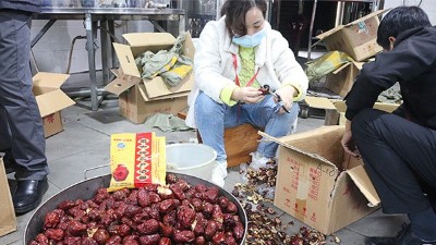 “五一”假期出游新風(fēng)向，自駕車來大型釀酒設(shè)備廠家實操釀紅棗酒