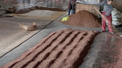 咱家不差錢，你又一把年紀(jì)了，何必堅(jiān)持用中型釀酒設(shè)備做酒？
