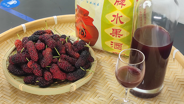 雅大釀酒設備廠邀您來酒廠學桑葚酒技術，品桑葚美酒！