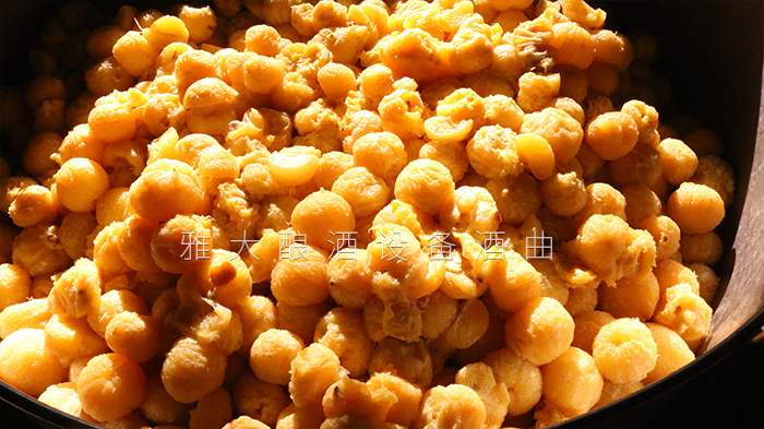 去皮皇帝柑釀酒技術(shù)-剝皮、加糖