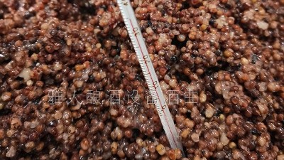 用燒酒設(shè)備在家開個酒坊，嚴把質(zhì)量關(guān)才是核心！