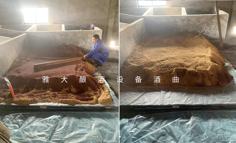 雅大技術(shù)老師上門指導設(shè)備安裝和客戶釀酒全過程被曝光-高粱糖化4