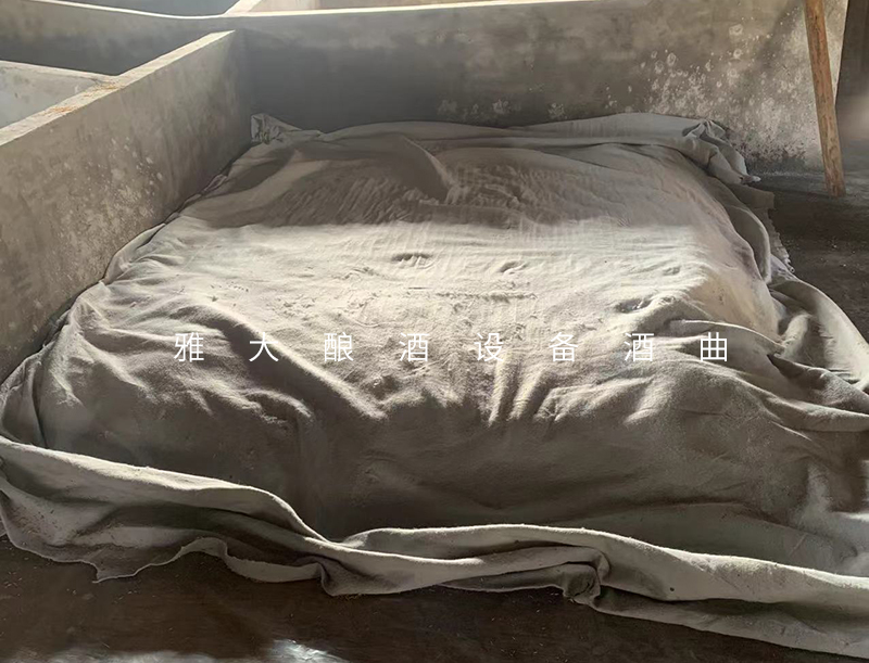 雅大技術(shù)老師上門指導設(shè)備安裝和客戶釀酒全過程被曝光-高粱糖化蓋棉被4