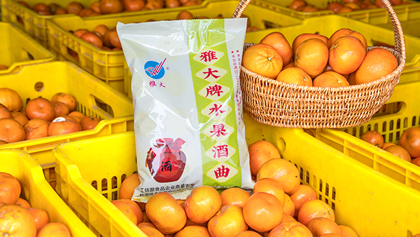 桔子滯銷怎么辦，試試用果酒釀酒設(shè)備將它們釀成酒吧！