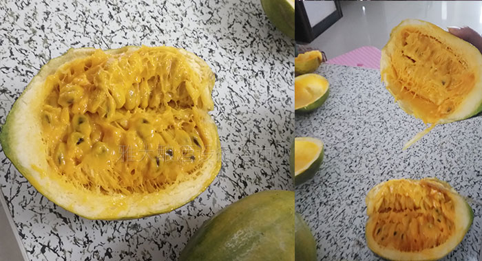 瓜蔞內部