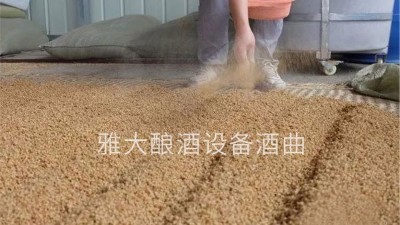 小麥酒怎么做？用燒酒設(shè)備釀造古老的小麥配糟固態(tài)酒！
