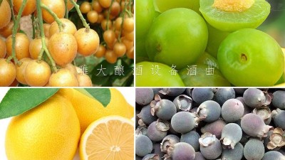 藏在果園里的果酒釀酒設(shè)備酒坊，生意卻依然火爆！