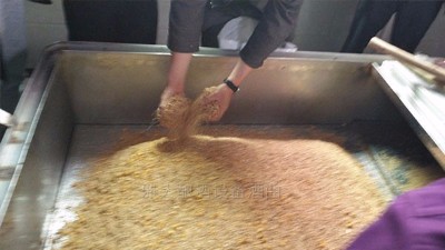 電加熱釀酒設(shè)備做固態(tài)酒，是否加輔料對口感有影響嗎？