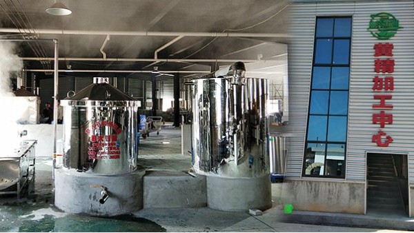 引進生物顆粒釀酒設備釀黃精酒，安化黃精化作產(chǎn)業(yè)“黃金”